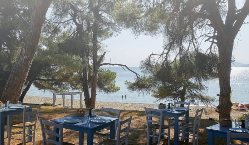 ELIVI -NEST POOL BAR  SEA VIEW